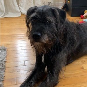 Meet your Posher, Kim